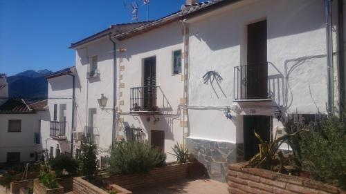 a white building with a mural of a spider on it at Casa Rural Torrecilla, 1919 in Yunquera