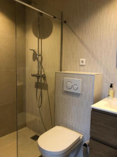 フラウウェンポルデルにあるDorpsdijk 49, Vrouwenpolder vakantieのシャワー、トイレ、洗面台付きのバスルーム