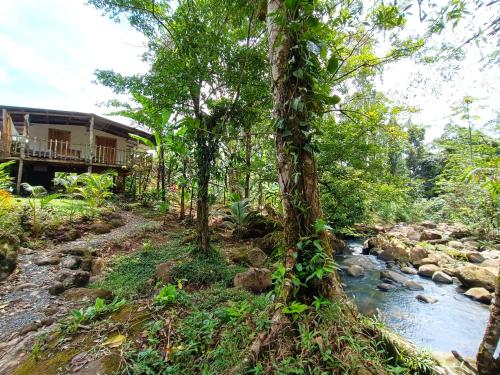 Cabaña Vista Río Celeste – Photos 2