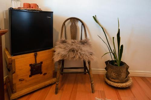 a television and a chair with a potted plant at The Loubird Inn in Escalante