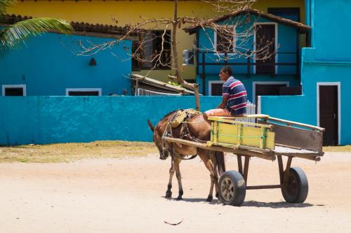 a man sitting on a donkey pulling a cart at Villa Beijaflor in Santo André