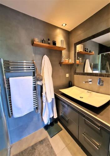 une salle de bain avec un lavabo et un miroir dans l'établissement Climatisé & Cosy - T3 55 m2 parking à 2 mn de Lyon, à Caluire-et-Cuire