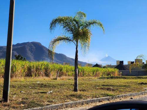 Mi casita Morelos – Photos 2