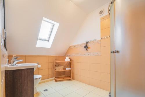 a bathroom with a shower and a toilet at Agroturystyka Dom Pod Malinami in Domaszków