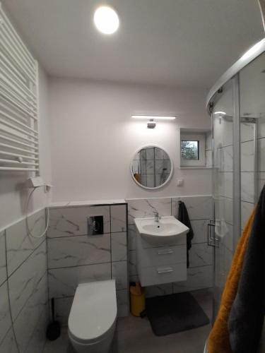 W łazience znajduje się toaleta, umywalka i lustro. w obiekcie Pod Górką w mieście Lądek-Zdrój