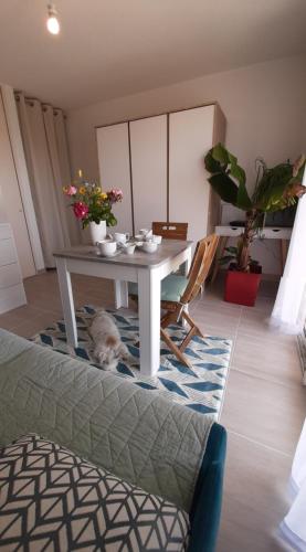 un chien assis sous une table dans un salon dans l'établissement Studio-terrasse 3* bord de mer Châtelaillon plage, à Châtelaillon-Plage