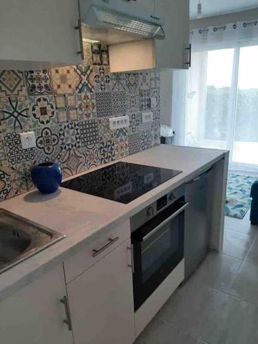 une cuisine avec un évier et une cuisinière four supérieur dans l'établissement Studio-terrasse 3* bord de mer Châtelaillon plage, à Châtelaillon-Plage