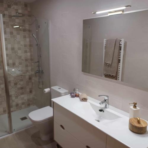 a bathroom with a sink and a toilet and a shower at La casa del gatico in Lumbier