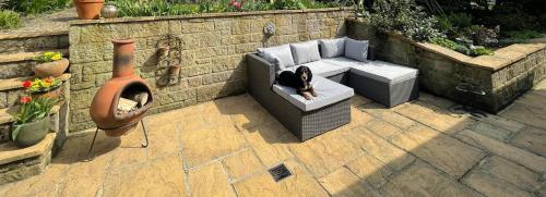 a dog sitting on a couch on a patio at Alnmouth Coastal properties close to Beach with Parking in Alnmouth