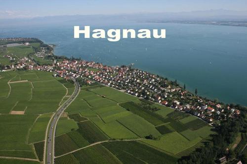 an aerial view of a town next to the water at FerienResidenz über'm See in Hagnau