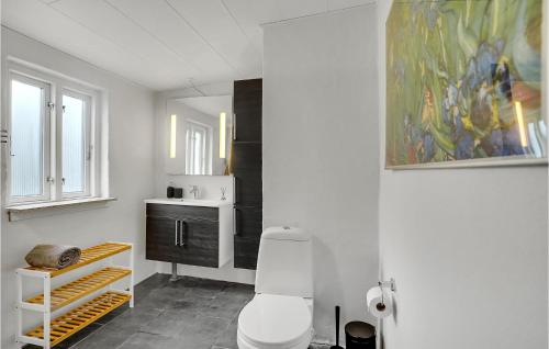 a bathroom with a white toilet and a sink at 3 Bedroom Beautiful Home In Bryrup in Bryrup