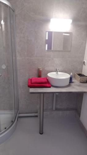 baño con lavabo y toalla roja en MONA - Elbląg Tani nocleg Centrum, en Elbląg
