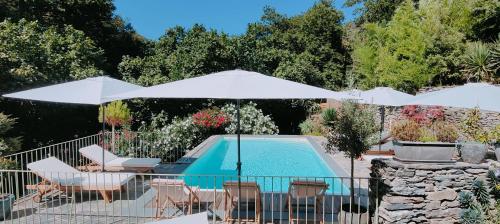 - une piscine avec 2 parasols blancs et des chaises dans l'établissement Casetta, à Ortiporio