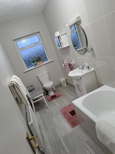 bagno con lavandino, servizi igienici e finestra di Doolin Farm Apartment a Doolin