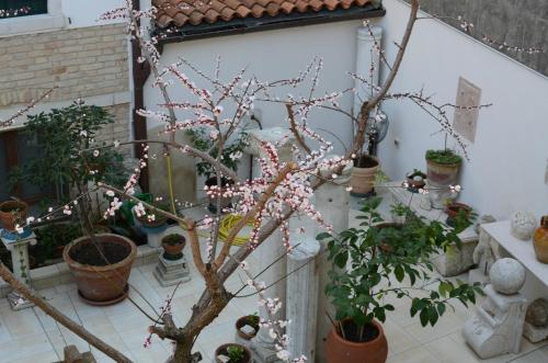 Jardín al aire libre en Alloggi Barbaria