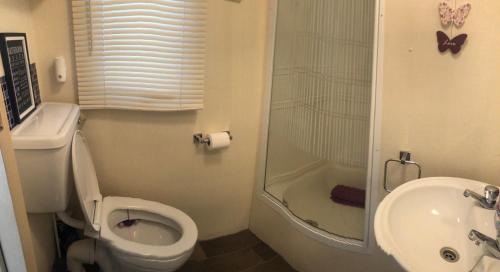 a bathroom with a toilet and a shower and a sink at Oasis S108 Caravan, Golden Palm Resort in Chapel Saint Leonards