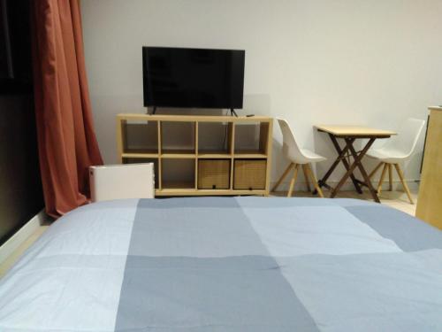 ein Schlafzimmer mit einem großen Bett und einem TV in der Unterkunft Métal studio in Cachan