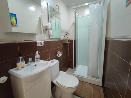 a bathroom with a toilet sink and a shower at Sleeping Sarria in Sarria
