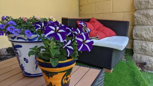 two vases with purple flowers on a patio with a couch at Sleeping Sarria in Sarria
