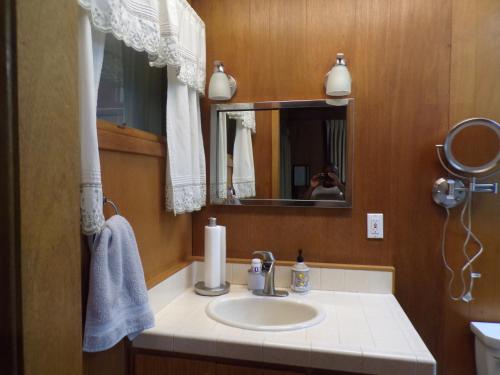 a bathroom with a sink and a mirror at Ma's Way in Anchorage