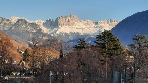 een uitzicht op een bergketen met bomen en bergen bij Verdi 43 in Bolzano