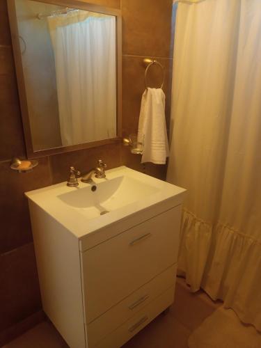 y baño con lavabo blanco y ducha. en Casa de Balsa en Neuquén