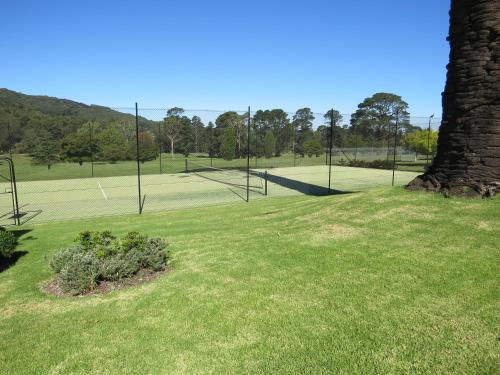 a view of a tennis court with a tree at Golfview Lodge in Bowral