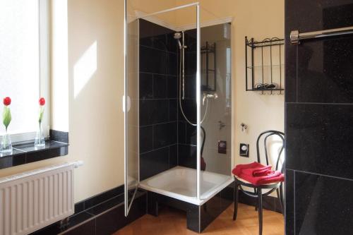 a shower with a glass door in a bathroom at Ferienwohnungen Villa Haniel Hugo in Dresden