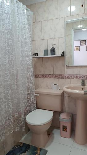 Hostal Costa Brava في إكيكي: حمام مع مرحاض ومغسلة