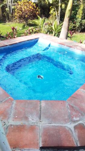 a swimming pool with a shark in the water at Las Palmas in Tezoyuca