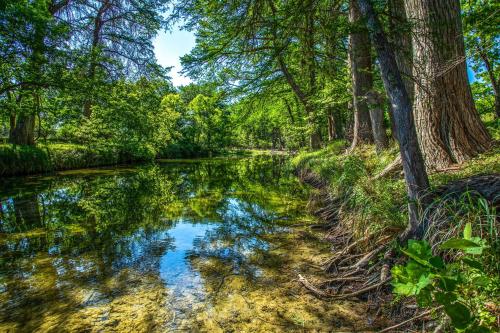 a stream in a forest with trees and reflections in the water at Clear River Cabin on Medina in Bandera