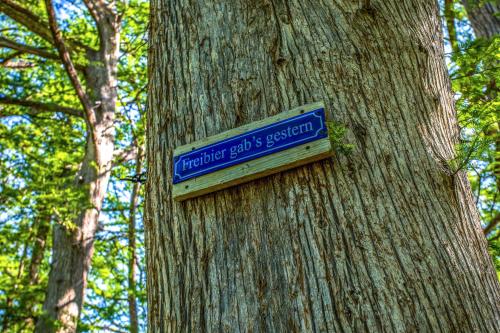 a blue sign is hanging on a tree at Clear River Cabin on Medina in Bandera