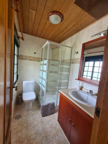 a bathroom with a toilet and a shower and a sink at Eira Vella Bueu in Bueu