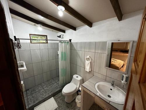 a bathroom with a sink and a toilet and a mirror at Loma Real Hot Springs Bed & Breakfast in Fortuna