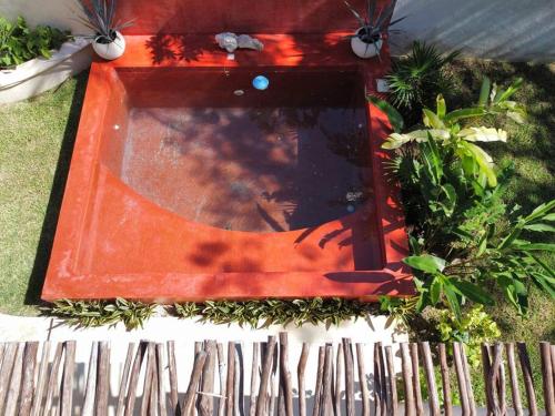 Κήπος έξω από το Casa Tulup Sisal
