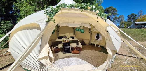 a white tent with a cat sitting in it at Gorgeous 2 bedroom tiny house plus luxury Glamping in Bollier