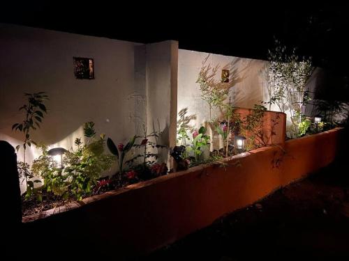 a wall with a bunch of plants on it at リベラ小波月古民家再生 海岸横プライベートビーチ並み in Iwada