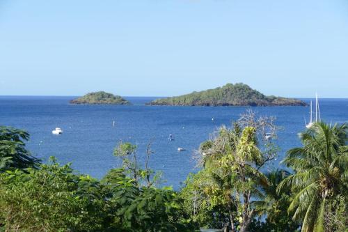 une île dans l'océan avec des bateaux dans l'eau dans l'établissement GRANDE Villa THEANA, à Bouillante