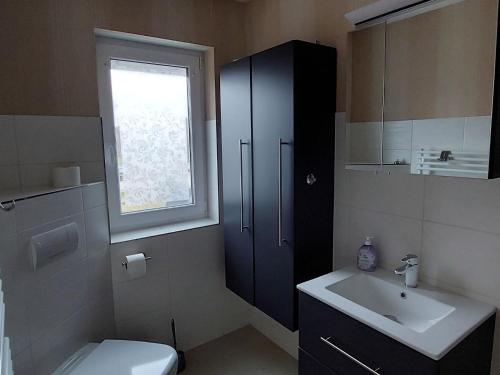 a bathroom with a sink and a toilet and a window at Ferienwohnung mit Seeblick am Groß Labenzer See in Klein Labenz