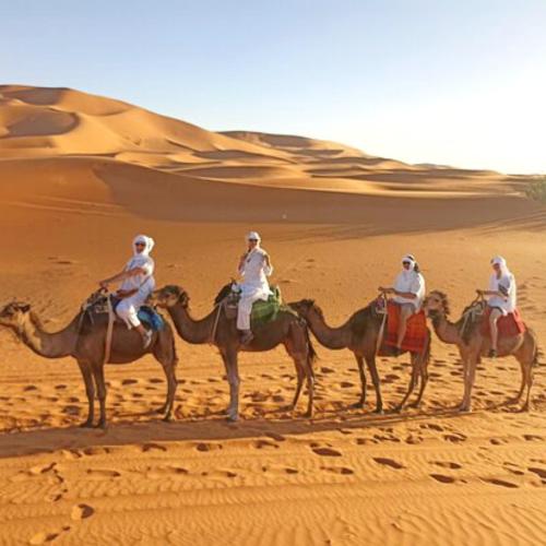a group of people riding on camels in the desert at Riad Hassi Labied Merzouga in Merzouga