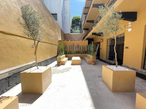 メキシコシティにあるColmena Hotel CDMX Centroのギャラリーの写真
