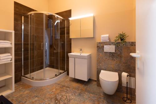 a bathroom with a shower and a toilet and a sink at Fabric Apartments in Dettingen an der Erms