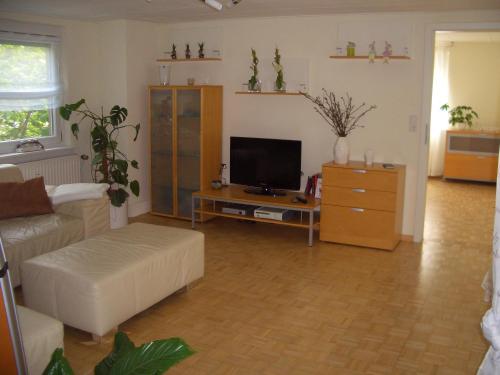 Schrammi's Ferienwohnungにあるテレビまたはエンターテインメントセンター