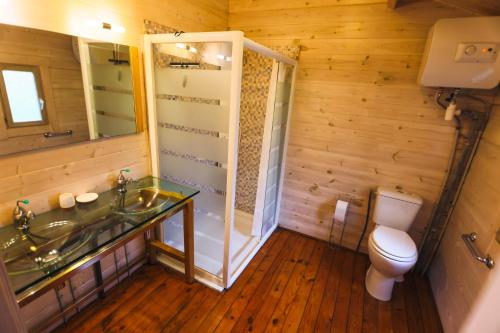 a bathroom with a toilet and a sink and a shower at Dahu Wake Park, proche Saint Emilion in Sablons