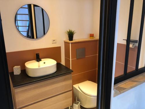 W łazience znajduje się umywalka, toaleta i lustro. w obiekcie Gites De la Cour au Grenier w mieście Chauvigny