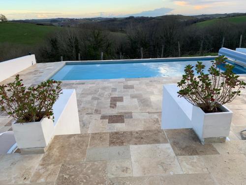 una piscina con 2 macetas en un patio en Bed & Breakfast Perbos 1556, en Labastide-Clairence