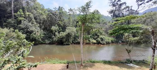 a river in the middle of a forest at Sinharaja Vini Villa in Deniyaya