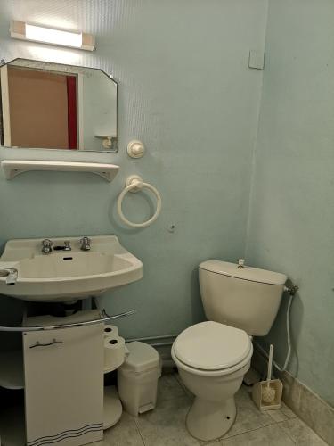a bathroom with a toilet and a sink and a mirror at La Roseraie in Lodève