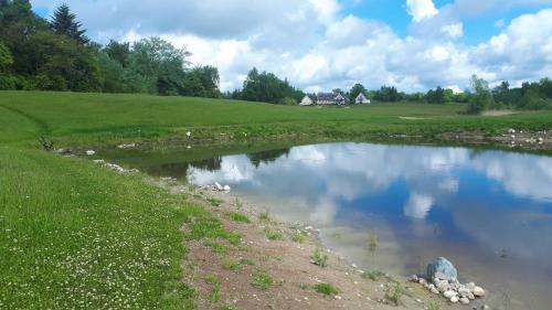 a pond in a field with a house in the background at Pedersminde Guesthouse in Fredensborg