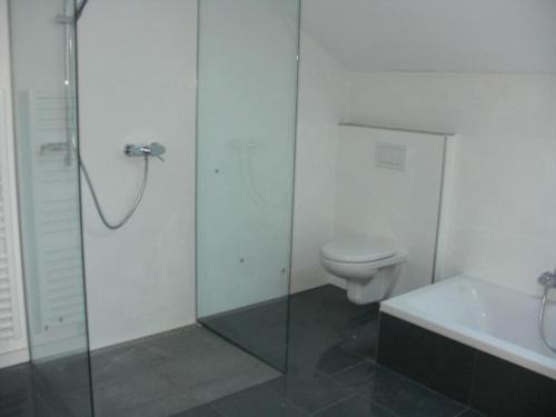 a bathroom with a toilet and a glass shower at Apartment im Salzburger Seenland in Seeham